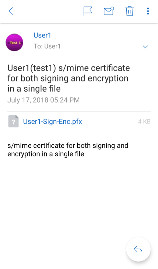 Image of the S/MIME certificate