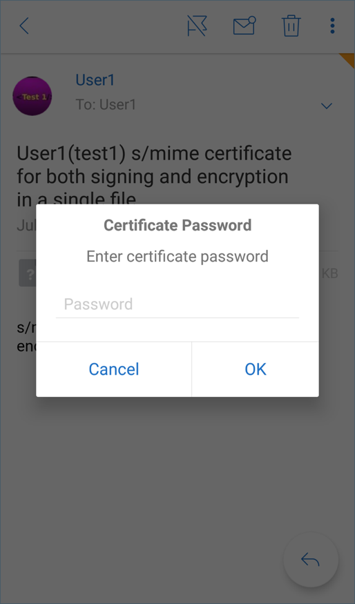 Image of the S/MIME certificate password