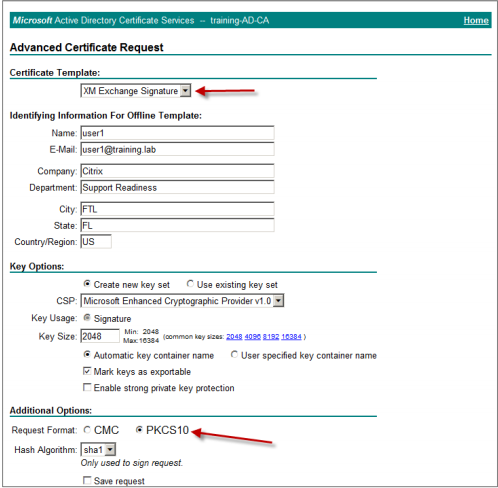 Image of the Advanced Certificate Request option