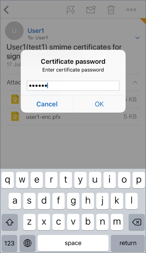 Image of the private key password option