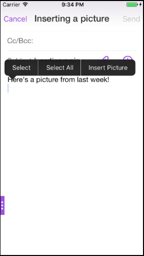 Image of the Insert Picture option