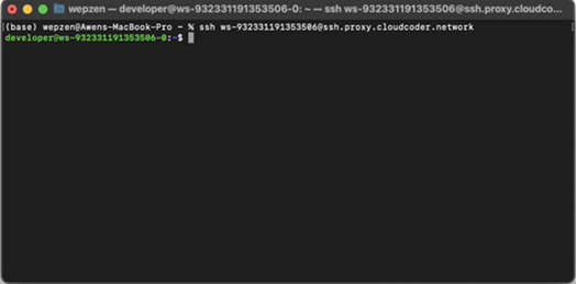 Accessing Your Workspace Through SSH