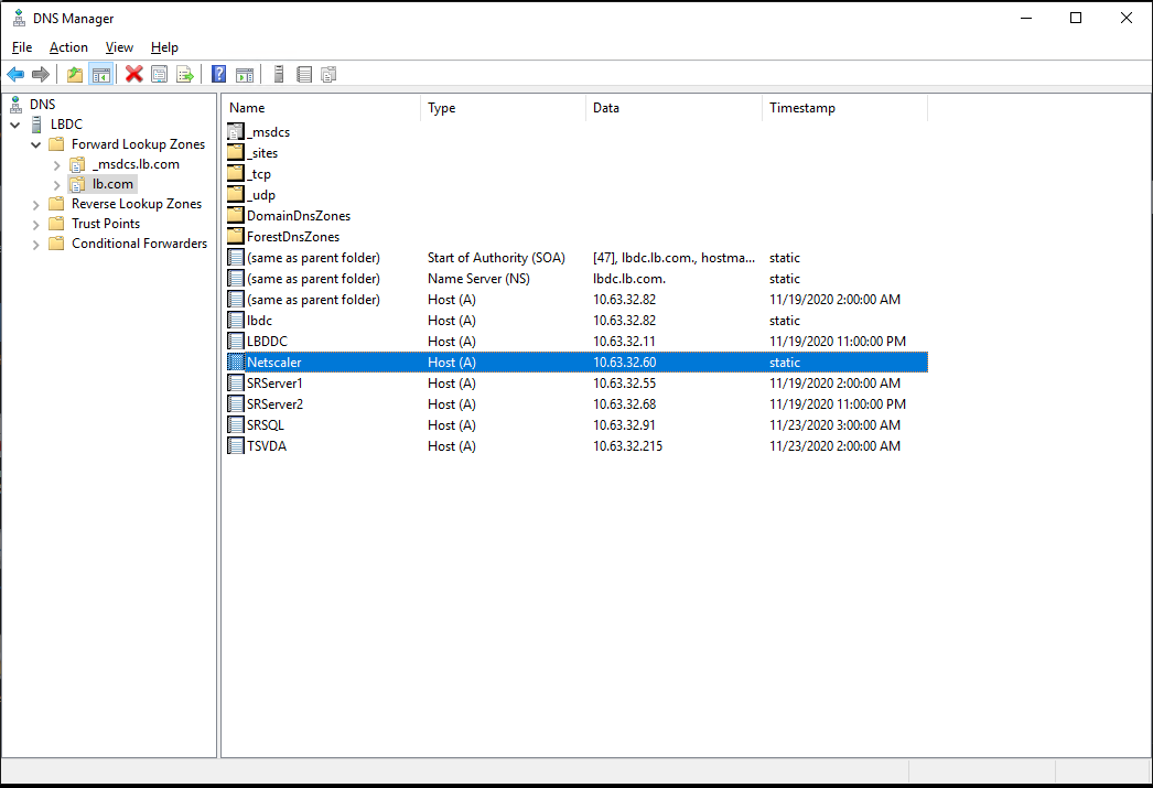 Create a host record for the Citrix ADC VIP address