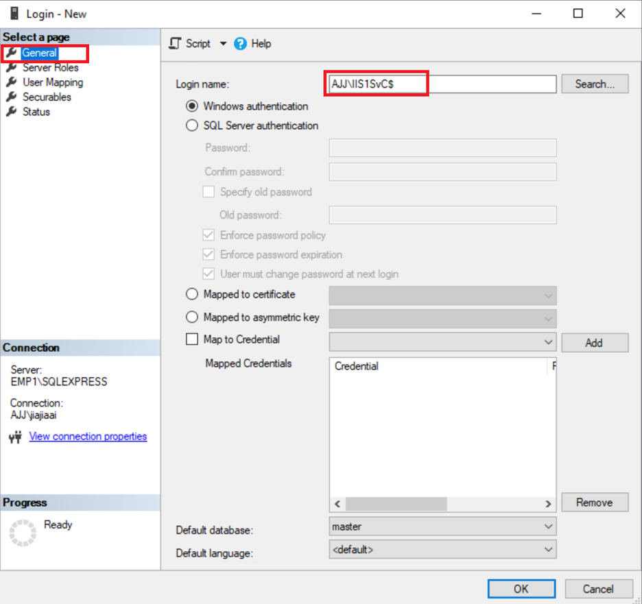 SQL instance login name