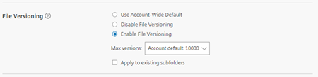 File versioning 5