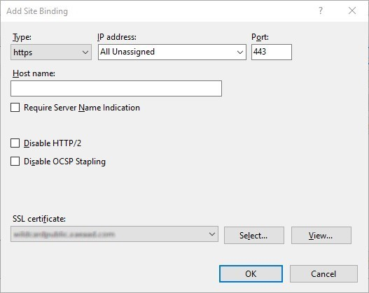 Screenshot of Add Site Binding window