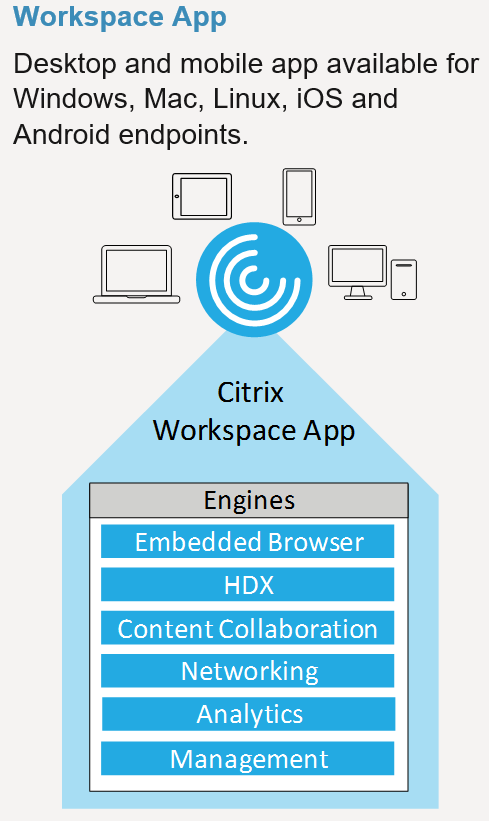 Descripción general de la aplicación Citrix Workspace