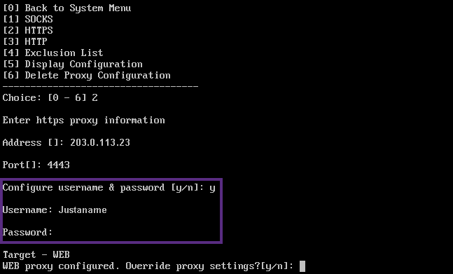 Imagen de la configuración del servidor proxy